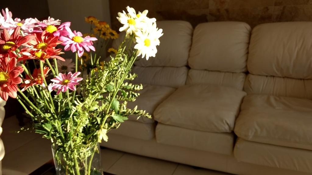 מר דל פלאטה Hotel Soleares מראה חיצוני תמונה